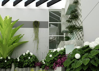 Dụng Mộc theo Phong thủy để đều tiết luồng khí cho nhà 1 Dụng Mộc theo Phong thủy để đều tiết luồng khí cho nhà | ảnh 2