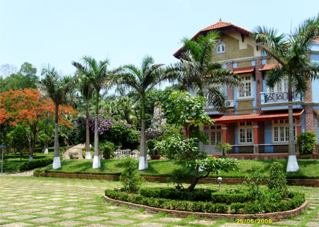 Phong thủy cho cây xanh trong biệt thự nhà vườn 1 Phong thủy cho cây xanh trong biệt thự nhà vườn | 2