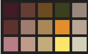 Ứng dụng phong thủy mang tài lộc cho người mệnh Mộc 2 Ứng dụng phong thủy mang tài lộc cho người mệnh Mộc | ảnh 3