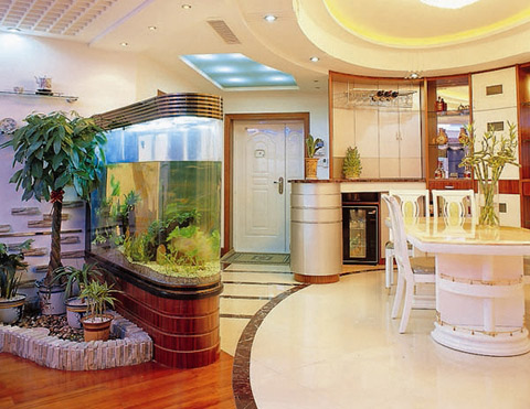 Đặt vị trí cây xanh trong nhà hợp phong thủy Đặt vị trí cây xanh trong nhà hợp phong thủy | ảnh 1