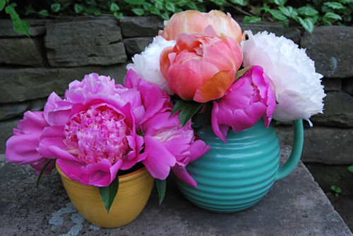 Ý nghĩa của 10 vật phẩm phong thủy Ý nghĩa của 10 vật phẩm phong thủy