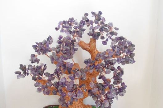 Mang sự thịnh vượng đến gia đình bằng cây tài lộc 1 Mang sự thịnh vượng đến gia đình bằng cây tài lộc | ảnh 2