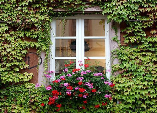 Nên thiết kế số lượng, kích thước cửa sổ hợp phong thủy phong thủy cửa sổ