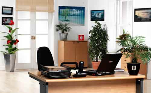 Bàn làm việc gọn gàng sẽ mang lại phong thủy tốt