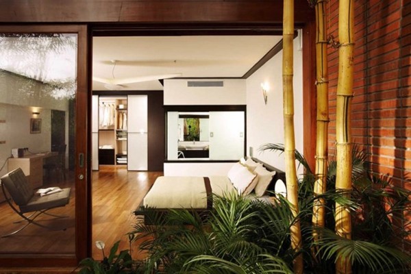 Giảm xung hại cho ngôi nhà nhờ cây xanh Giảm xung hại cho ngôi nhà nhờ cây xanh | ảnh 1