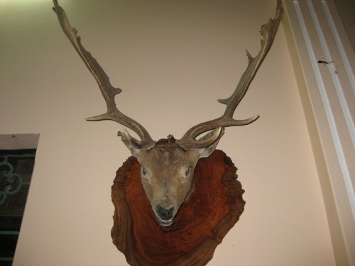 Cách bài trí vật phẩm phong thủy trong nhà dịp Tết 2014 (P1)