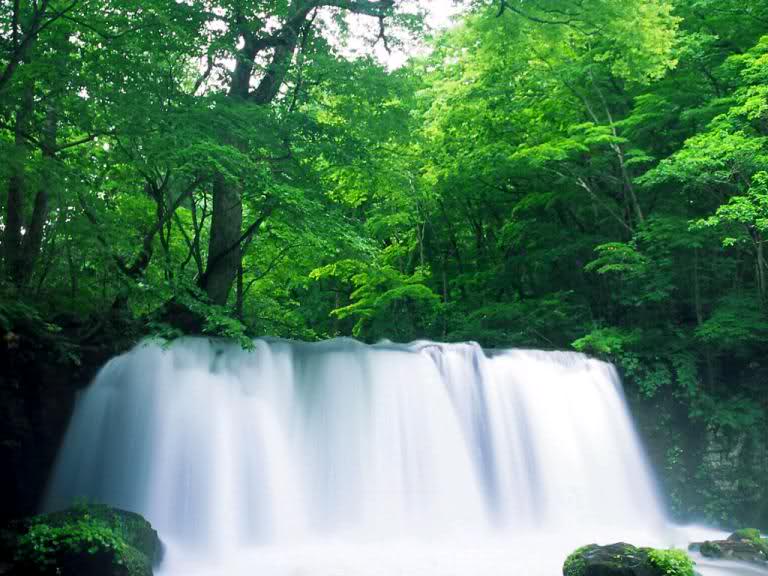 Thúc đẩy vận khí nhờ treo tranh hợp phong thủy Thúc đẩy vận khí nhờ treo tranh hợp phong thủy | ảnh 1