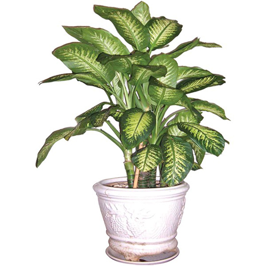 Hóa giải sát khí cho ngôi nhà từ ban công 2 Hóa giải sát khí cho ngôi nhà từ ban công | ảnh 3