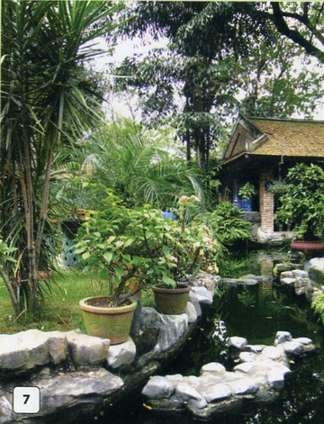 Bố trí cây xanh hài hòa phong thuỷ 5