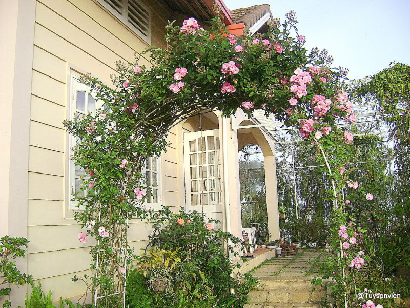 Cách bài trí ngôi nhà theo phong thủy 500