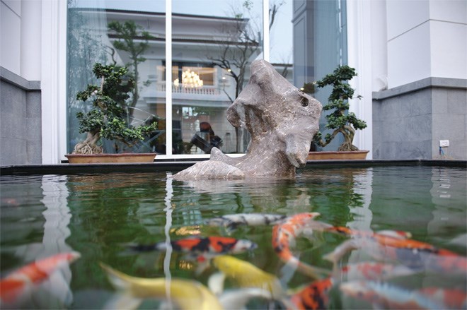 Nhà ở hợp phong thủy kích hoạt may mắn trong công việc