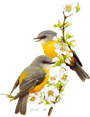 tranh chim tương tư