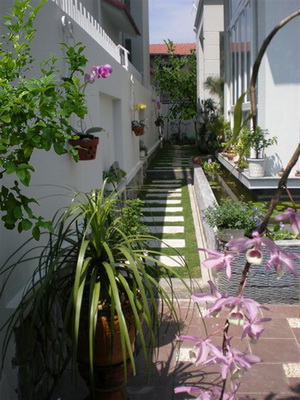 Trồng cây trong vườn hợp phong thuỷ