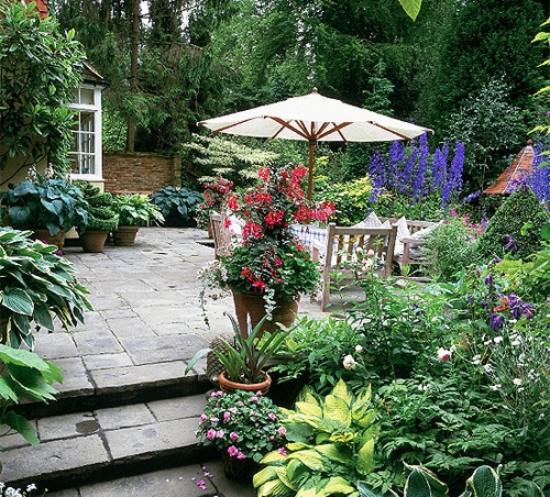 Một số lưu ý khi lựa chọn cây trồng theo phong thủy Một số lưu ý khi lựa chọn cây trồng theo phong thủy | ảnh 1