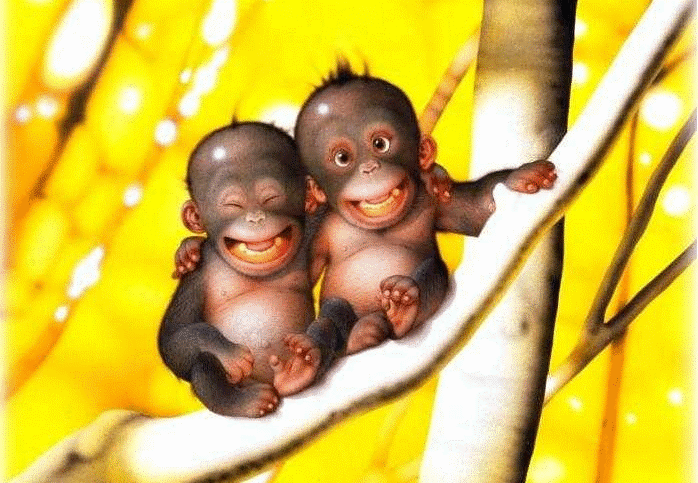 Chọn tuổi xông nhà năm 2014 cho người sinh năm 1980 Canh Thân 1