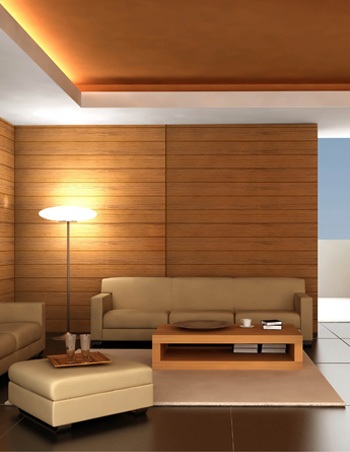 Màu sơn và nội thất cho gia chủ mệnh Thổ 3 Màu sơn và nội thất cho gia chủ mệnh Thổ | ảnh 4