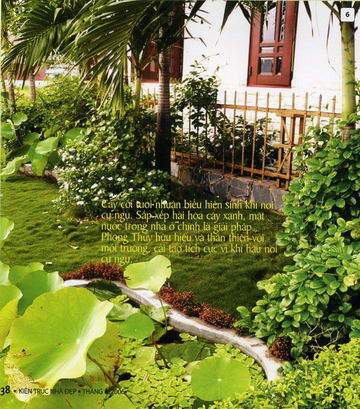 Bố trí cây xanh hài hòa phong thuỷ 4