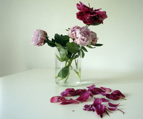 Những điều nên tránh trong phong thủy nhà ở