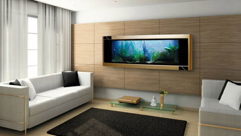 Ý nghĩa phong thủy tốt lành của bể cá cảnh 1 Ý nghĩa phong thủy tốt lành của bể cá cảnh | ảnh 2