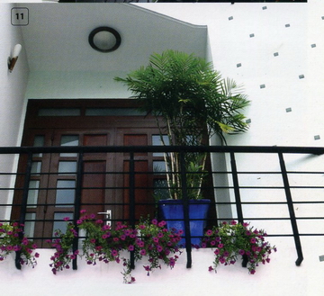 Bố trí cây xanh hài hòa phong thuỷ 9