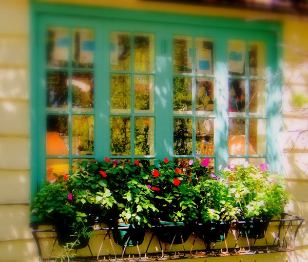 Mở cửa sổ đón vận may vào nhà Mở cửa sổ đón vận may vào nhà | ảnh 1