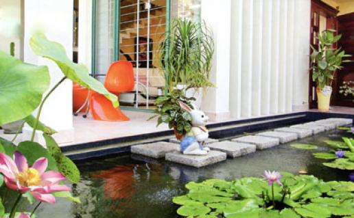 Ao hồ trong nhà - Họa nhiều hơn phúc (P1) 1