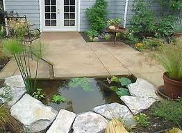 Bố trí ao hồ trong nhà thế nào? 4 Bố trí ao hồ trong nhà thế nào? | ảnh 5