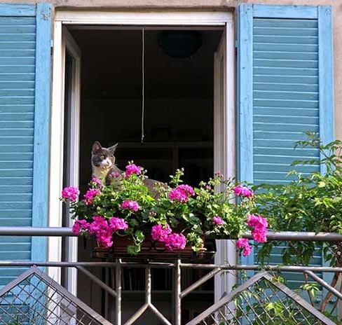 Để có ban công đẹp, hợp phong thủy 2