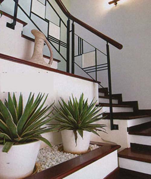 Tạo sinh khí cho ngôi nhà mới 4 Tạo sinh khí cho ngôi nhà mới | ảnh 5