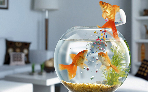 Những điều tối kỵ trong phong thủy và cách hóa giải 1