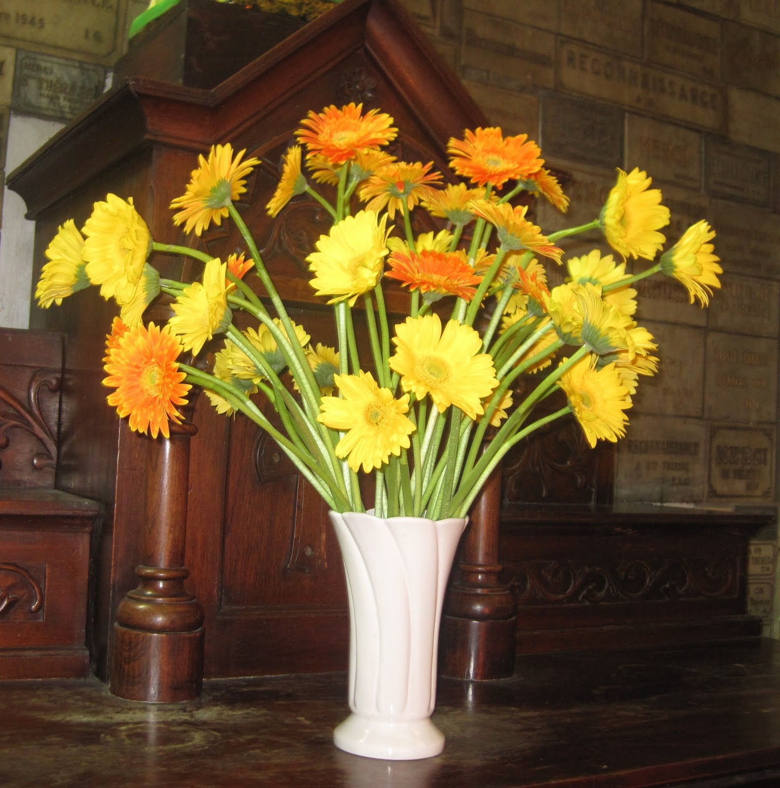 Loại cây cảnh nào giúp gia chủ phát tài? 1