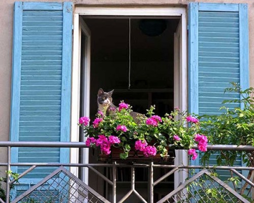 "Tử khí đông lai" với ban công? | ảnh 1