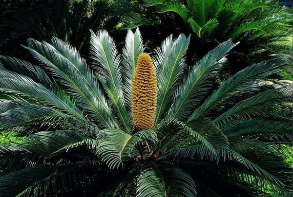 Cách trang trí nhà theo phong thủy cho người tuổi Tuất 18