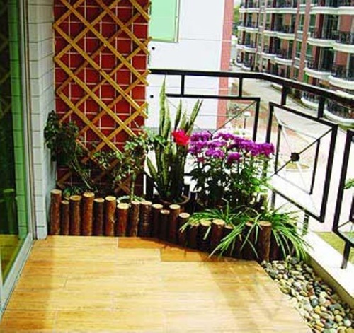 Trồng hoa hợp phong thủy theo từng hướng ban công 3