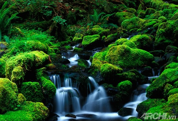 Phong thủy nhà ở giữ Phong thủy nhà ở giữ "lửa" vợ chồng | ảnh 1