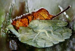 4 biểu tượng phong thủy mang đến sức khỏe và tuổi thọ 1 4 biểu tượng phong thủy mang đến sức khỏe và tuổi thọ | ảnh 2