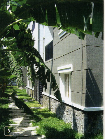 Bố trí cây xanh hài hòa phong thuỷ 1