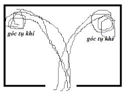 Xác định và kích hoạt vị trí