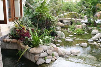 Sắp xếp đá sân vườn hợp phong thủy Sắp xếp đá sân vườn hợp phong thủy | ảnh 1