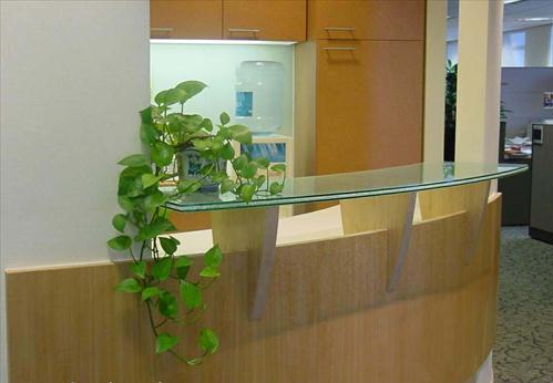 Bài trí cây, hoa hợp phong thủy cho từng phòng trong nhà 1 Vạn niên thanh được cho là loại <a class=