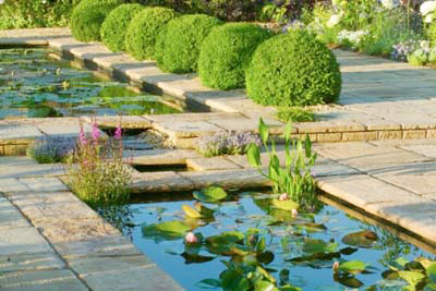 Bố trí ao hồ trong nhà thế nào? Bố trí ao hồ trong nhà thế nào? | ảnh 1