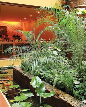 Làm mát nhà thuận phong thủy: Tăng Mộc để giảm Hỏa 2