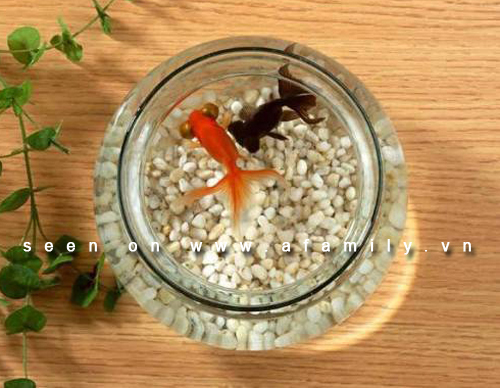 Nguyên tắc bài trí một số vật dụng mang ý nghĩa phong thủy 1 Nguyên tắc bài trí một số vật dụng mang ý nghĩa phong thủy | ảnh 2