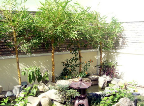 Những lưu ý về phong thủy khi chuyển văn phòng, nhà ở Những lưu ý về phong thủy khi chuyển văn phòng, nhà ở | ảnh 1