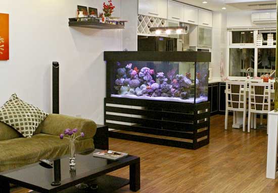 Rước tài lộc vào nhà bằng bể cá cảnh 1