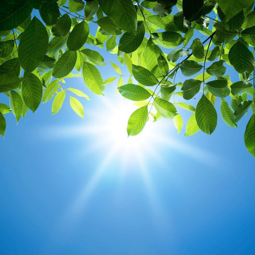 Phong thủy và yếu tố ánh sáng Phong thủy và yếu tố ánh sáng