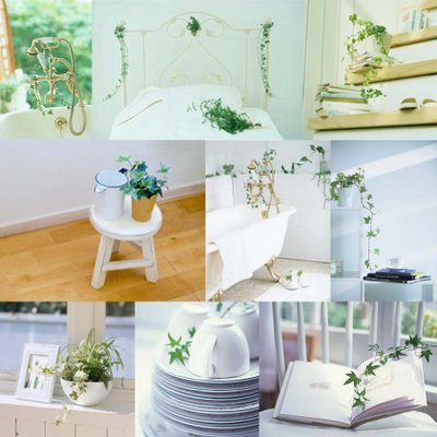 Cách treo cây thường xuân để đón bình an may mắn 1 Cách treo cây thường xuân để đón bình an may mắn | ảnh 2