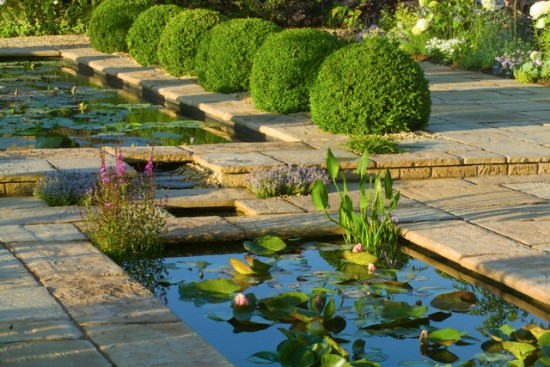 Ao hồ trong nhà - Họa nhiều hơn phúc (P1)