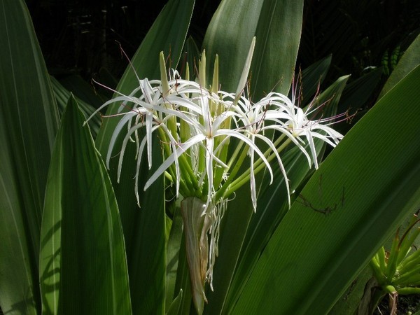 Trang trí nhà theo phong thủy đối với người mệnh thủy 11