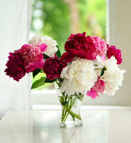 Phòng ăn hợp phong thủy để có sức khỏe tốt 5 Phòng ăn hợp phong thủy để có sức khỏe tốt | ảnh 6